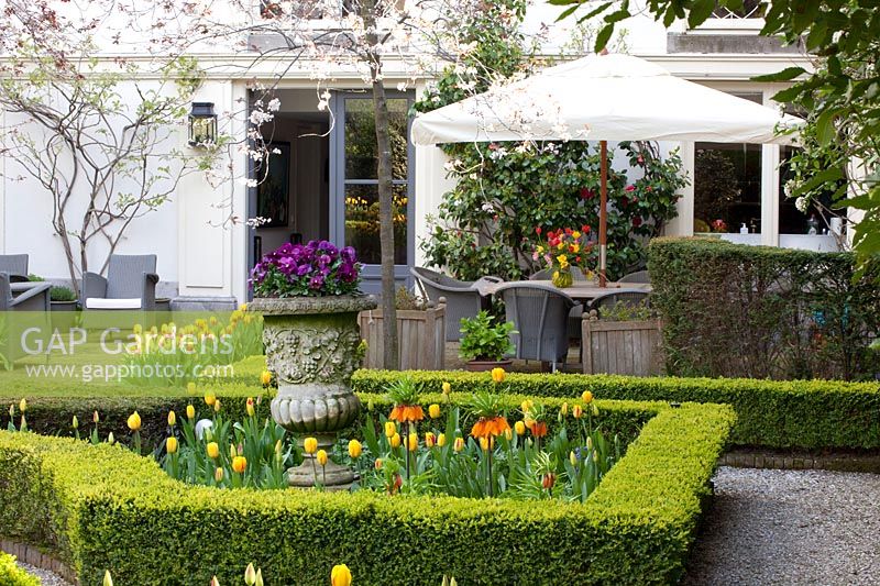 Formal garden with seating area, Tulipa Washington, Tulipa Mickey Mouse 