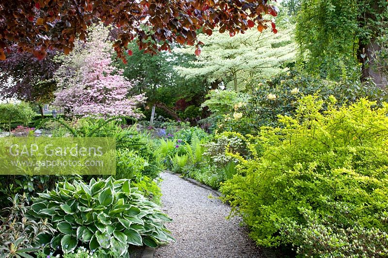 Forest garden with shrubs and trees 