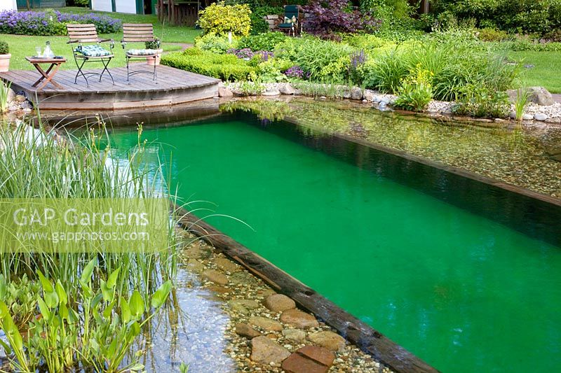 Swimming pond with filter zone 