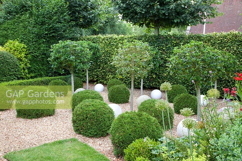 Small evergreen garden 