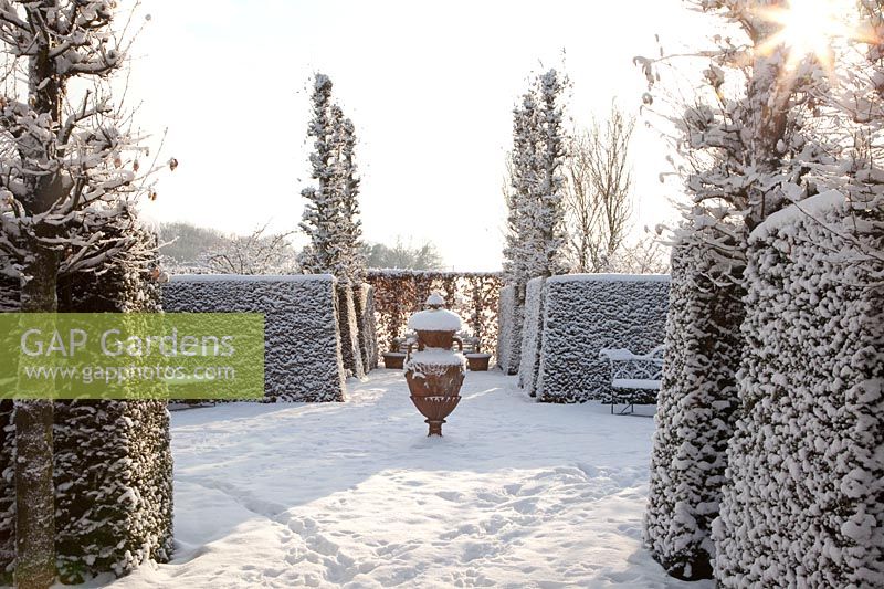 Formal garden with yew hedge, Taxus, Carpinus betulus Fastigiata 