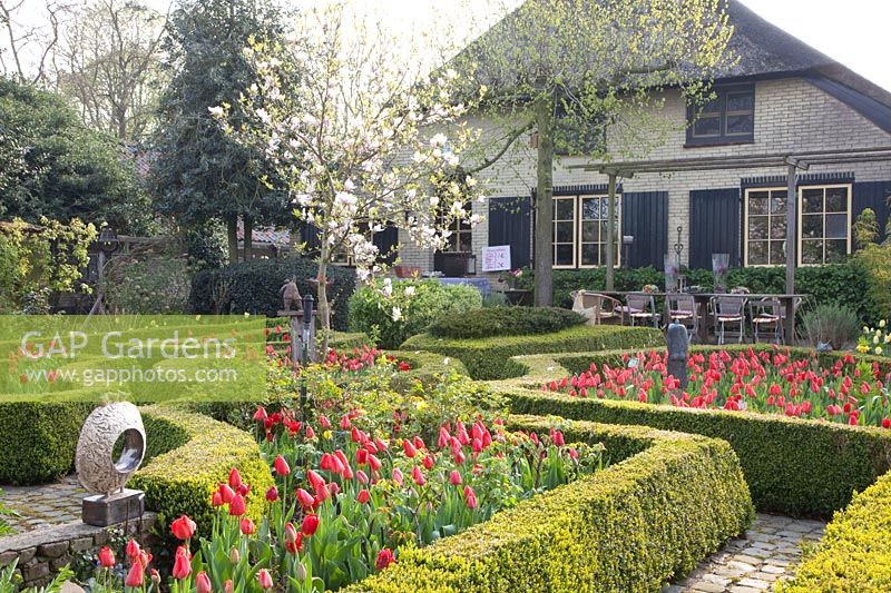 Garden in spring 