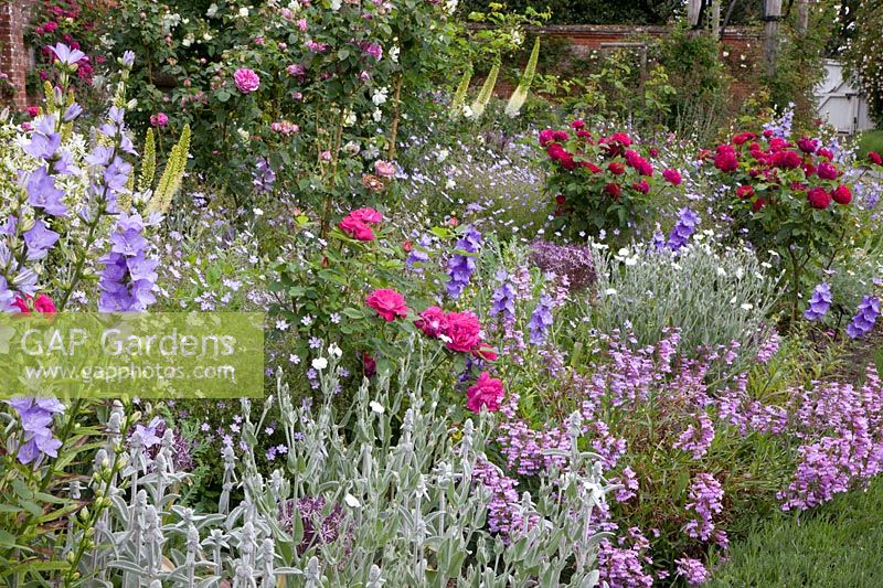 Bed with perennials and roses, pink 