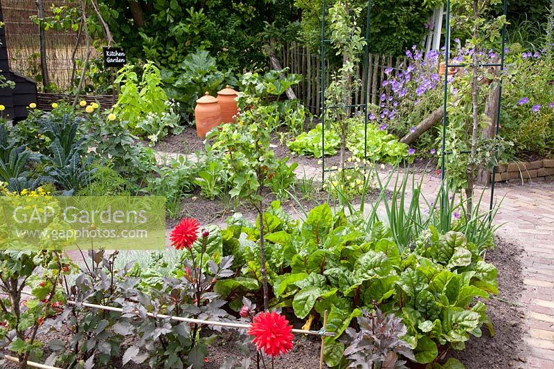 Small vegetable garden 