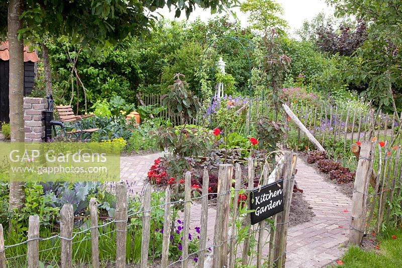 Small vegetable garden 