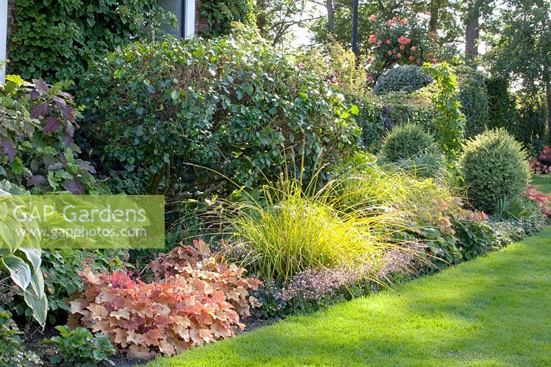 Front garden with ornamental foliage plants 