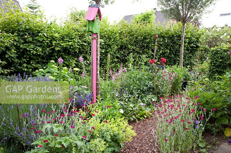 Path in the rural garden 