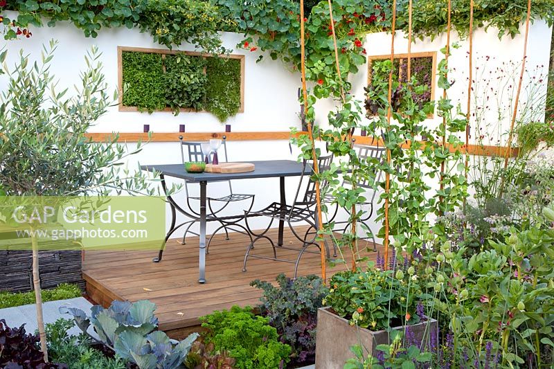 Terrace with vegetables and herbs 