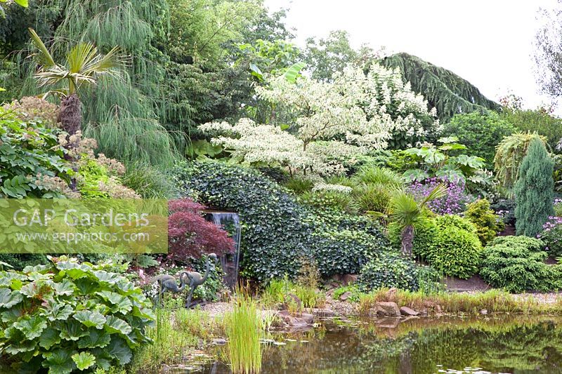 Garden view with group of trees 