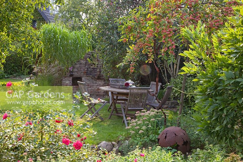 Seating area between roses and ornamental apple,Rosa Heidetraum,Malus Red Sentinel 