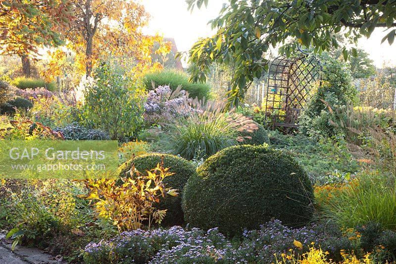 Autumn Garden 