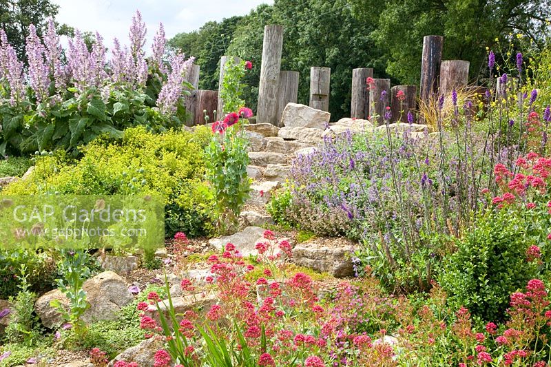 Rock garden with larkspur, catnip, clary sage, Centranthus ruber, Nepeta, Salvia sclarea 