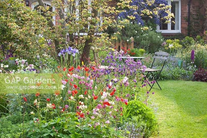 Seating in the cottage garden, Aquilegia, Geum Red Wings 