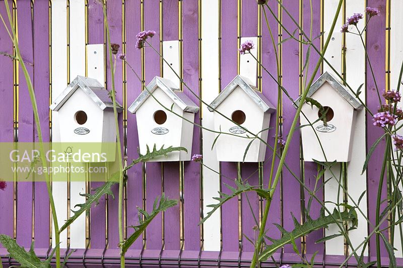 Nesting boxes on the fence 