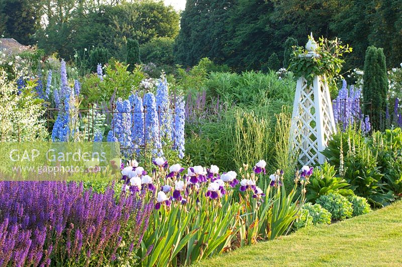 Bed with Delphinium Summer Skies, Delphinium Camelot, Salvia nemorosa Mainacht, Iris barbata Braithwaite, Clematis 