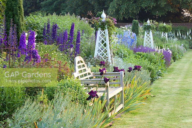 Bed with Delphinium Summer Skies, Delphinium King Arthur, Salvia nemorosa Mainacht, Iris barbata Braithwaite, Eryngium giganteum, Clematis 