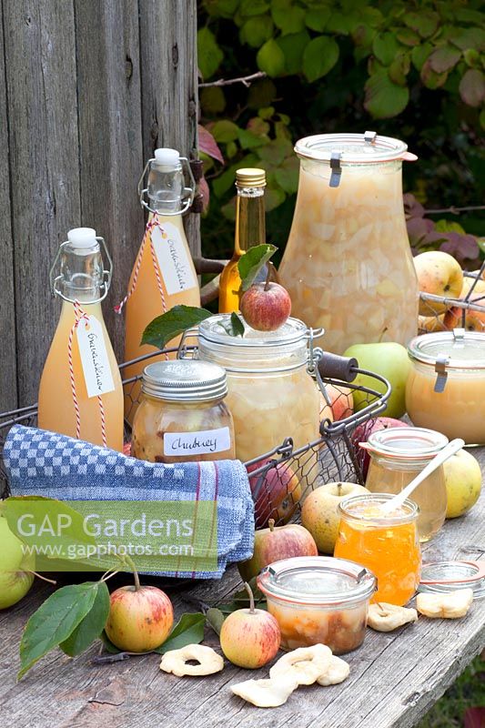 Still life with apple juice, apple compote, apple sauce, apple chutney, apple rings, apple jam, Malus domestica Gravensteiner, Malus domestica Boskoop, Malus domestica Cox Orange 