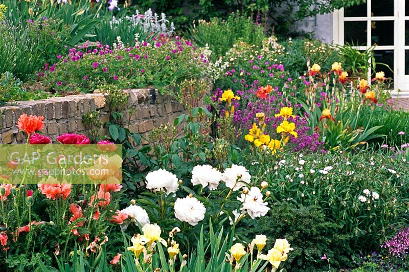 Peonies and irises in front of stone wall 