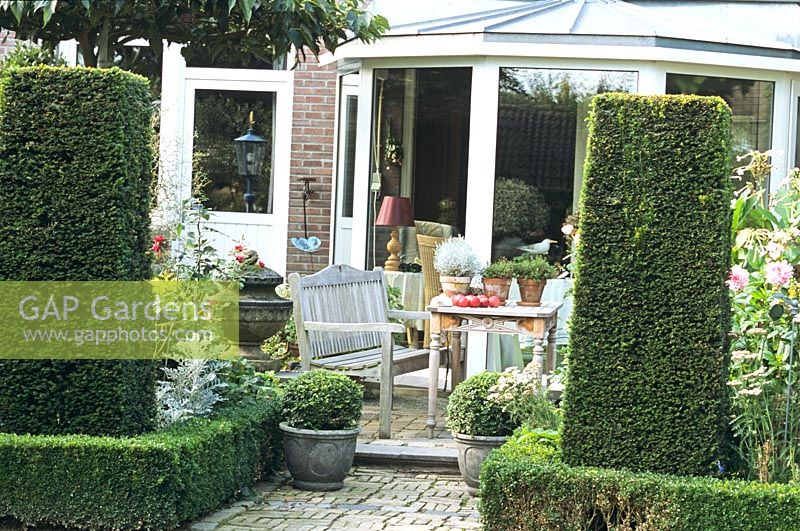 Terrace with topiary yews 