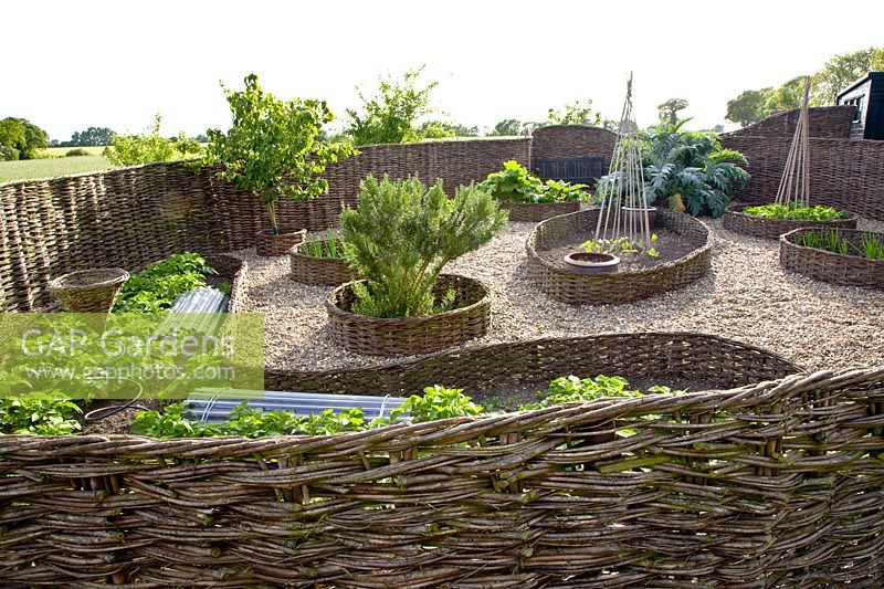 Vegetable garden with willow fence 