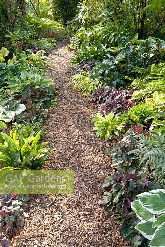 Path with shade beds 