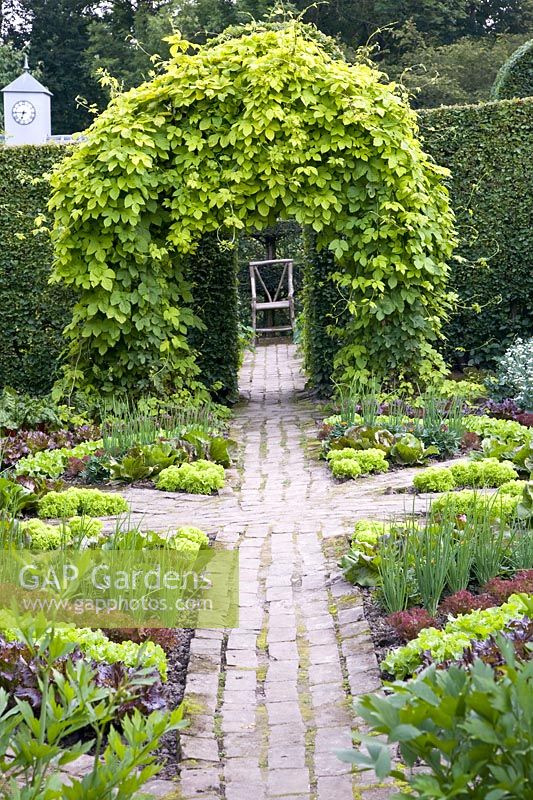 Decorative vegetable garden 