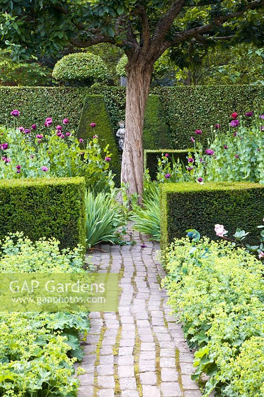 Paths in the garden 