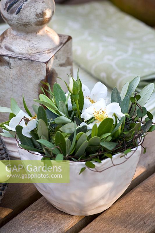 Arrangement with olive leaves and roses, Olea europaea 