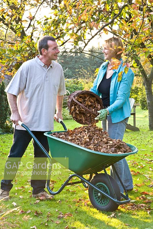 Couple collecting leaves 