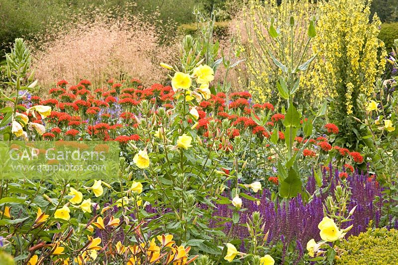 Bed with perennials and grasses 