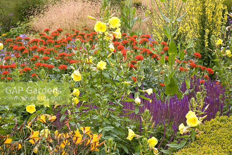 Bed with perennials and grasses 