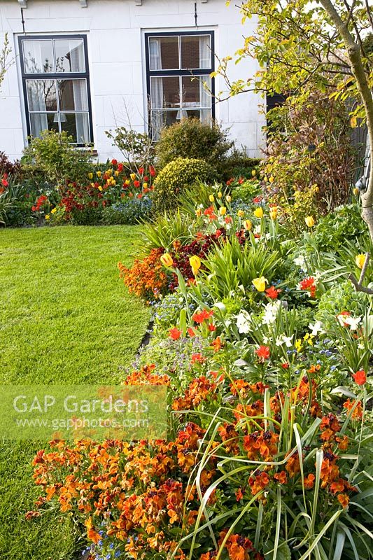 Front garden with bulb plants 