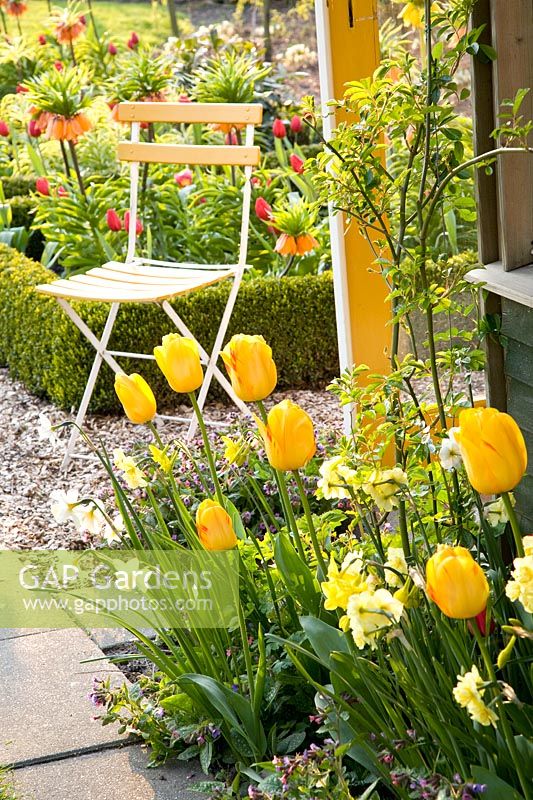Seating area with tulips 