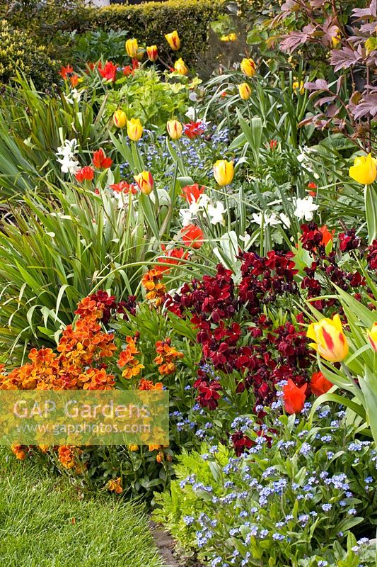 Bed with annuals, perennials and bulbous plants 