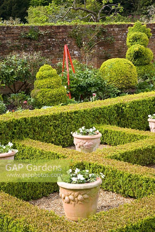 Garden with topiary 