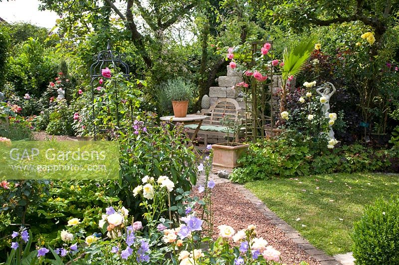 Garden corner with roses 