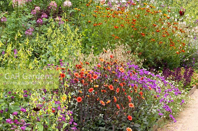 Bed with annuals and dahlias 