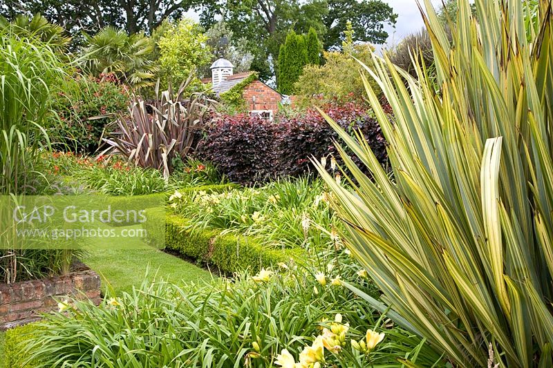 Garden with New Zealand flax 