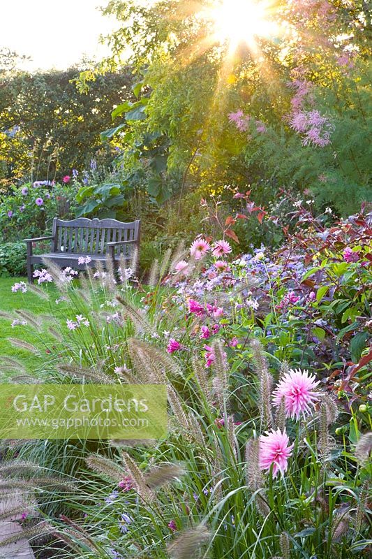 September bed with perennials, dahlias and grasses 