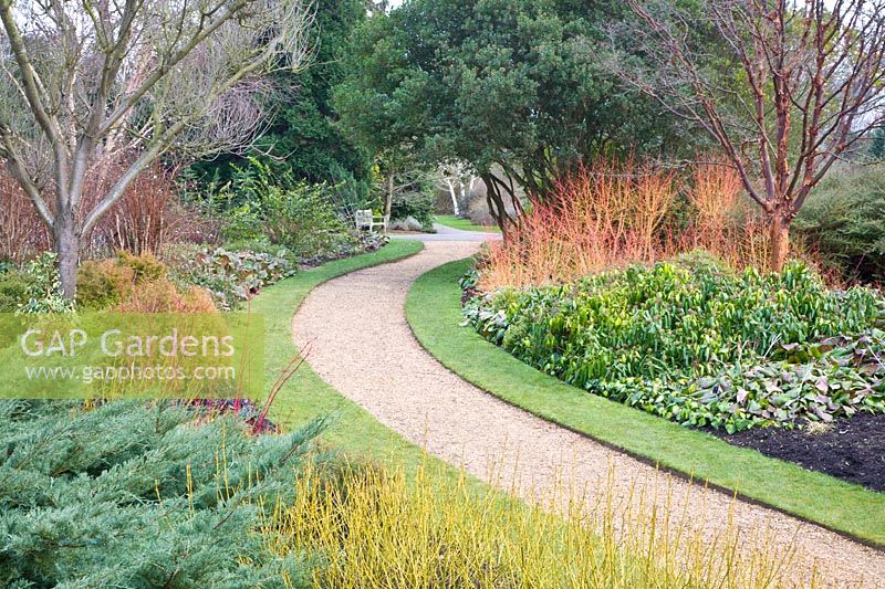 Garden in winter 