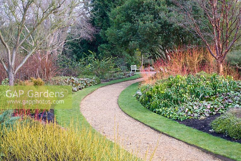 Garden in winter 