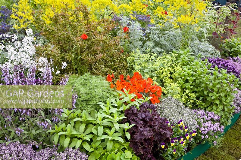 View of herb garden 