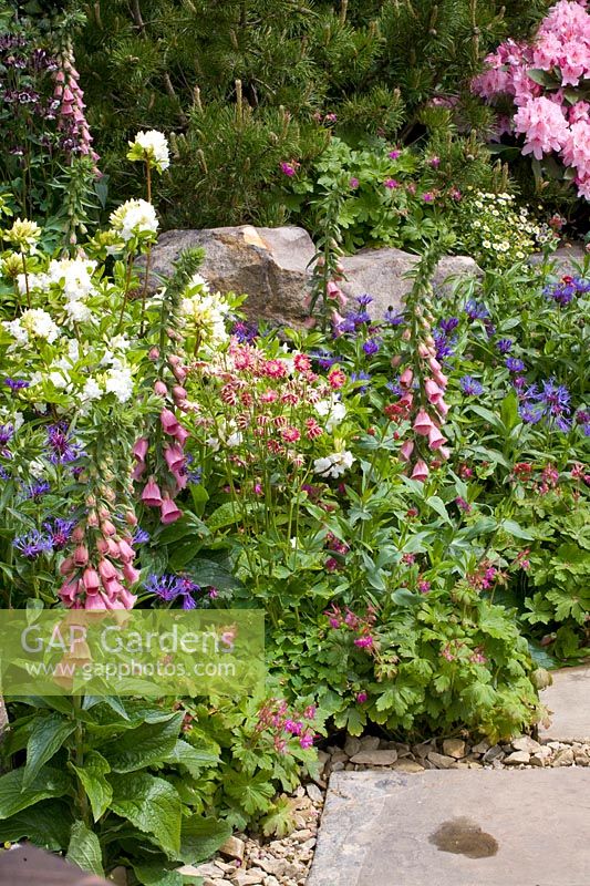 Planting in the shade 