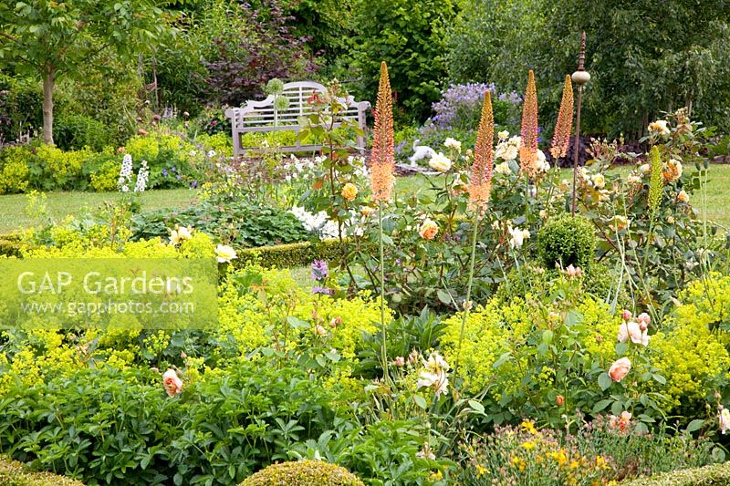 Bed with roses and perennials 