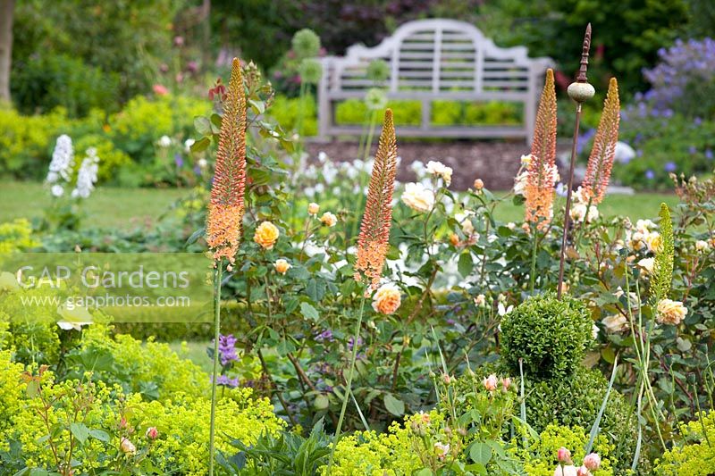 Bed with roses and perennials 