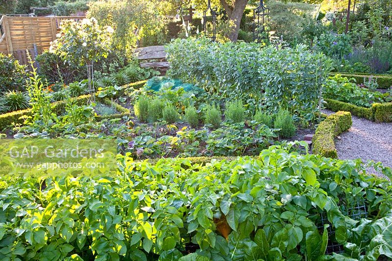 Decorative kitchen garden 