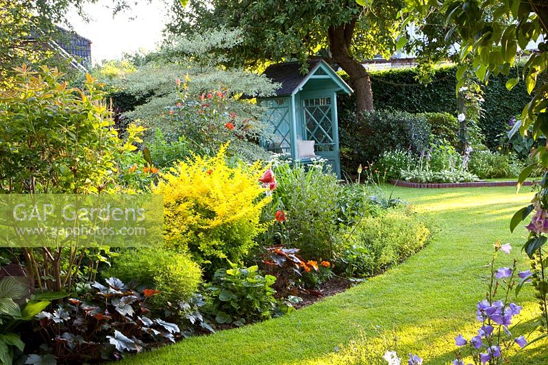 Shrubs, perennials and blue philosopher's bench 