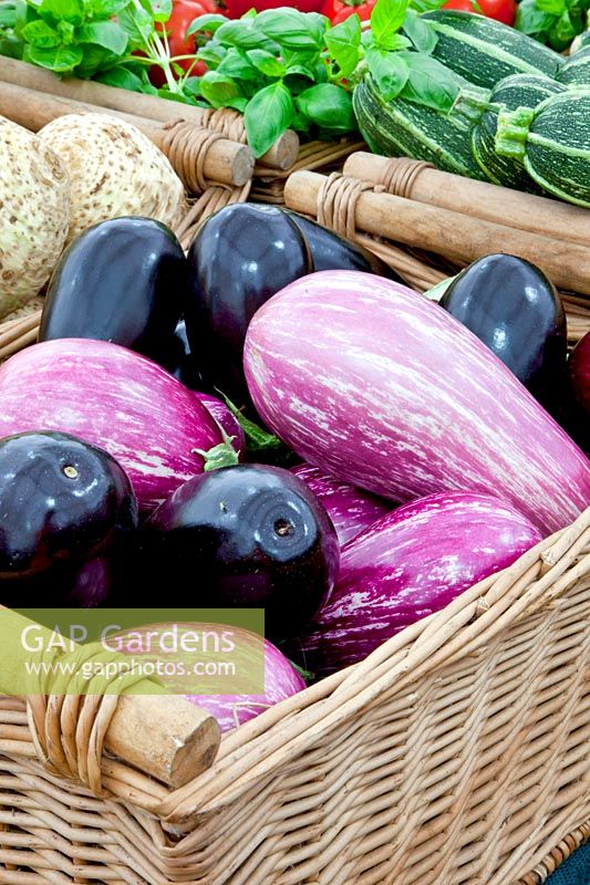 Eggplants in a basket 