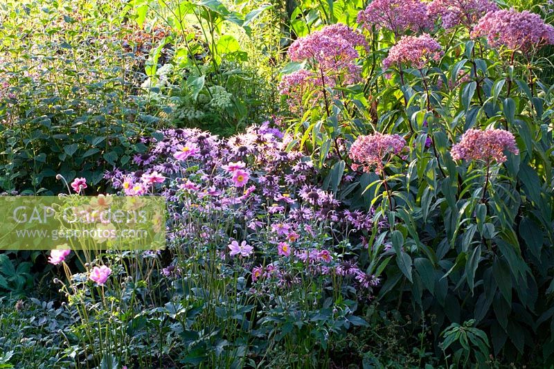 Perennial bed 