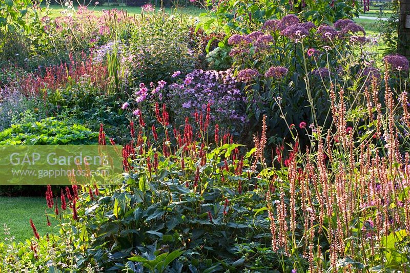 Perennial bed 